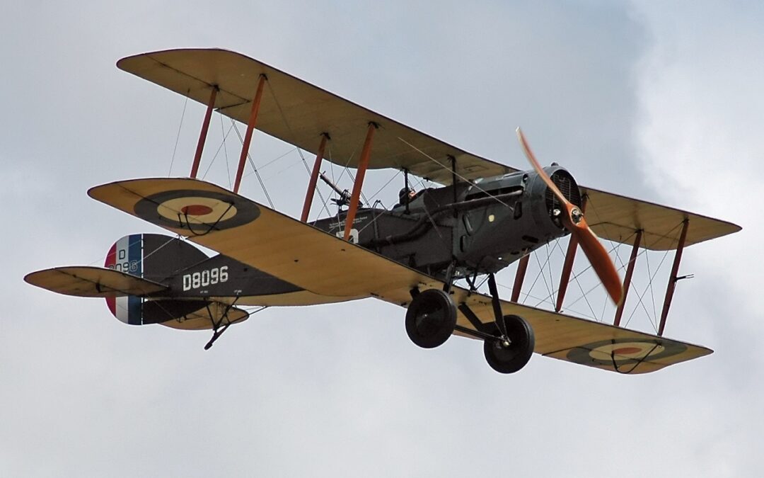 El artillero de la Primera Guerra Mundial que se cayó de su avión y aterrizó de nuevo en...