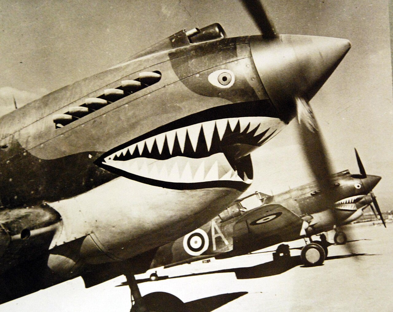 Curtiss P-40 Tomahawk in Nord Africa: il tipo di aereo alleato che Hans-Joachim Marseille padroneggiò per distruggere