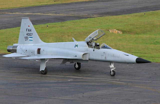 F-5 Tiger fighter