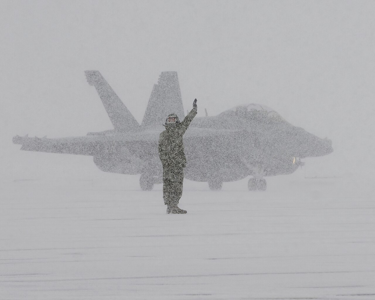 Un avion d'attaque électronique EA-18G Growler de l'US Navy