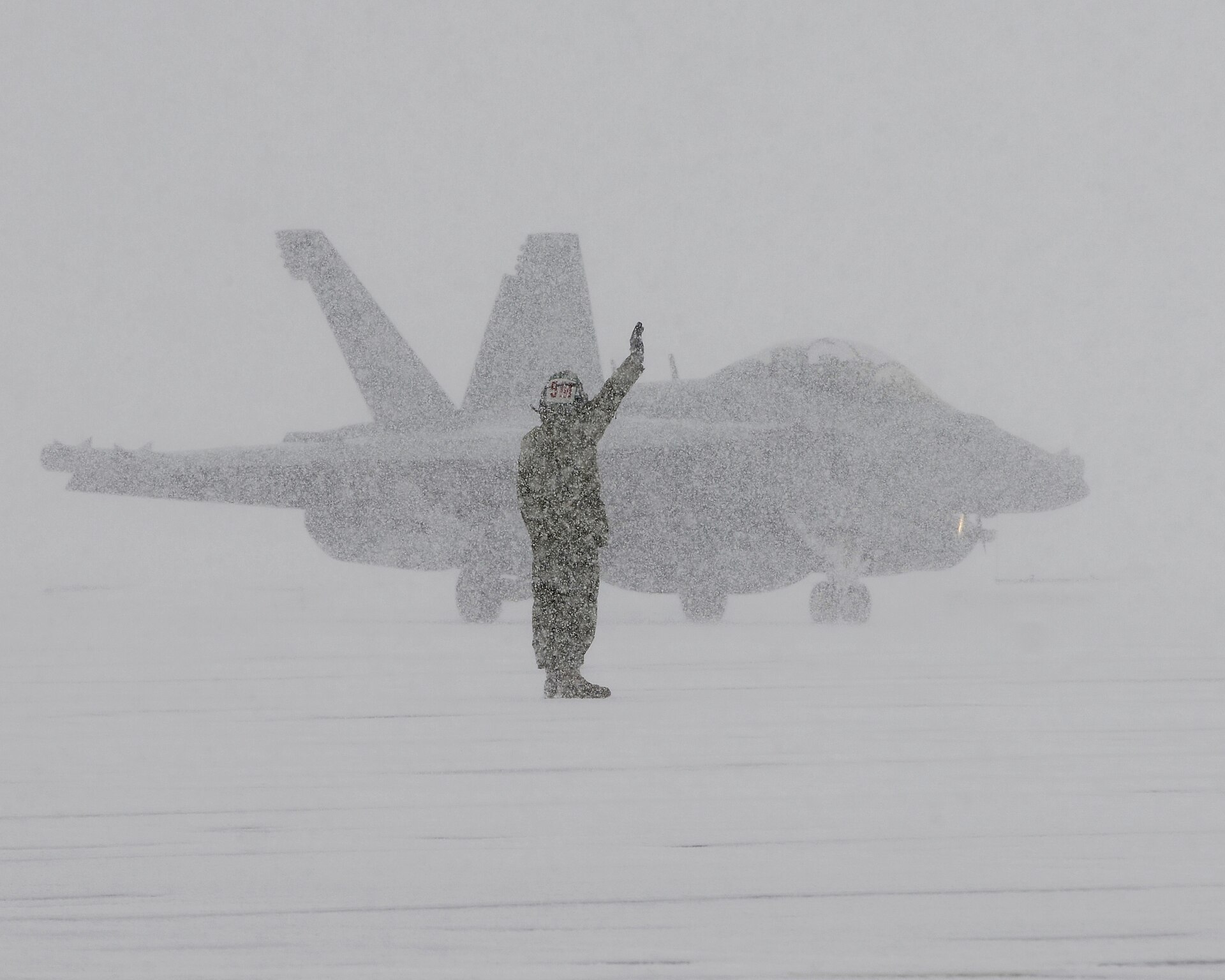 Un avion de guerre électronique EA-18G Growler