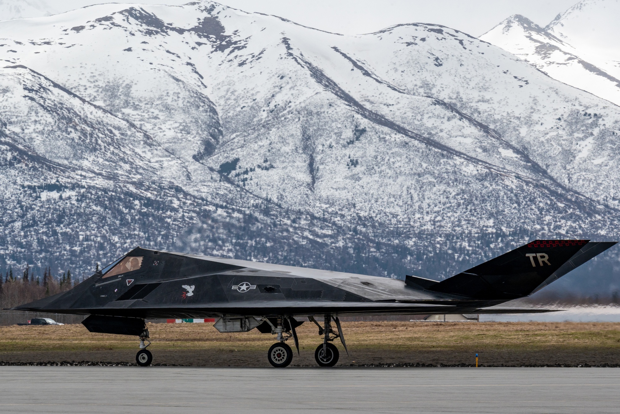 An F-117 Nighthawk