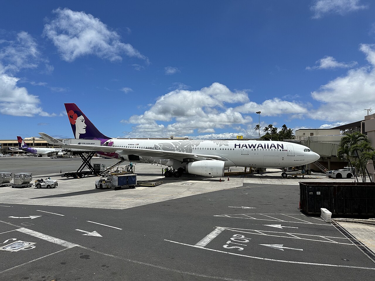 Un Airbus A330-200 de Hawaiian Airlines