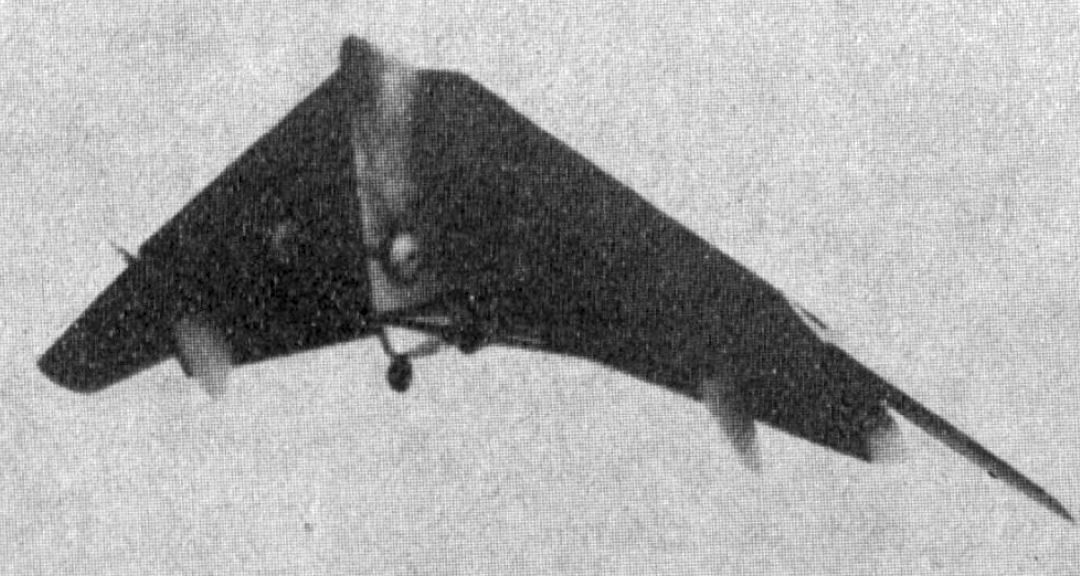Großbritanniens schwanzloser Jäger, der wie ein Vogel in der Hocke saß