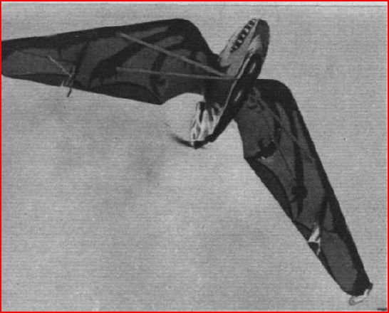 Ala volante biposto senza coda Westland Pterodactyl