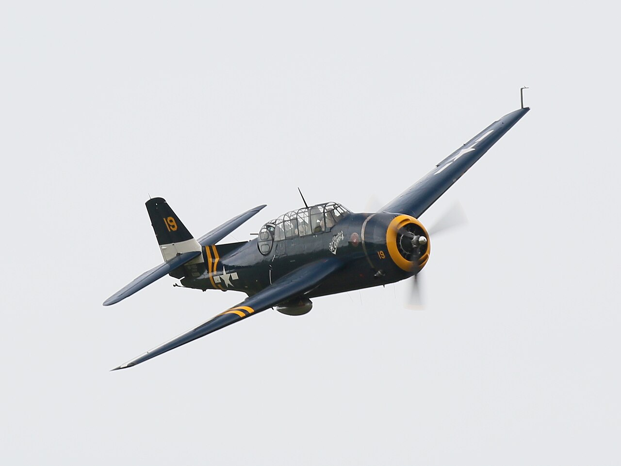 Grumman TBM Avenger warbird in flight