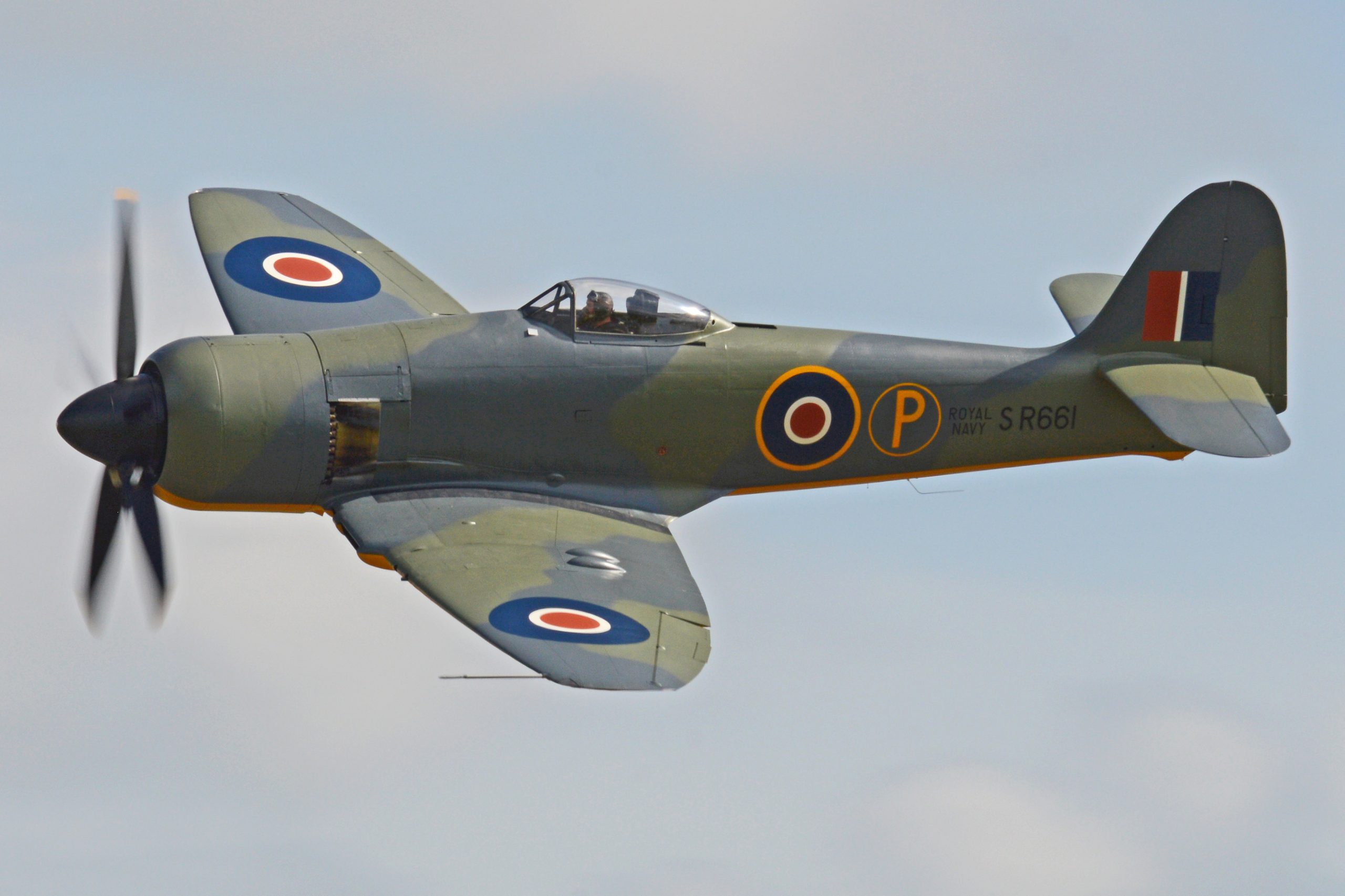Hawker Sea Fury Warbird-Rennflugzeug