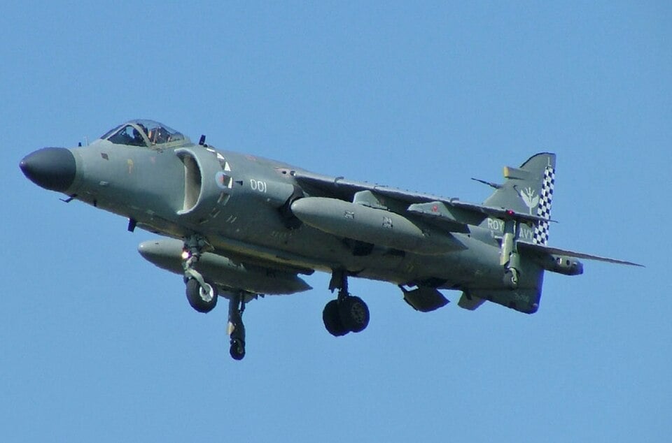 Aguilucho marino Frs1 Malvinas