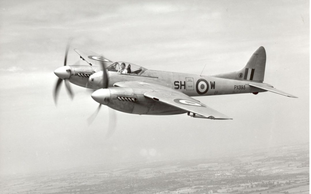 El gemelo mortal del mosquito