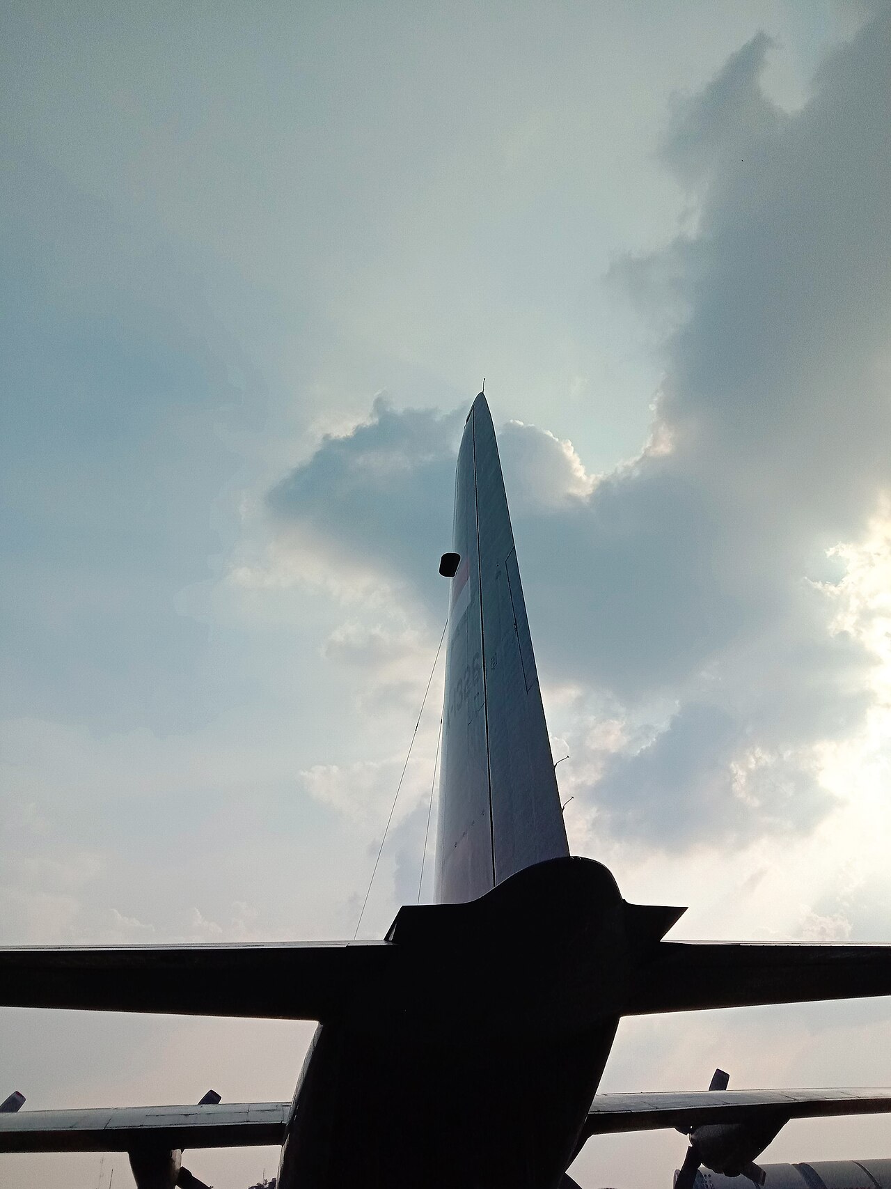 TNI AU C-130 Hercules