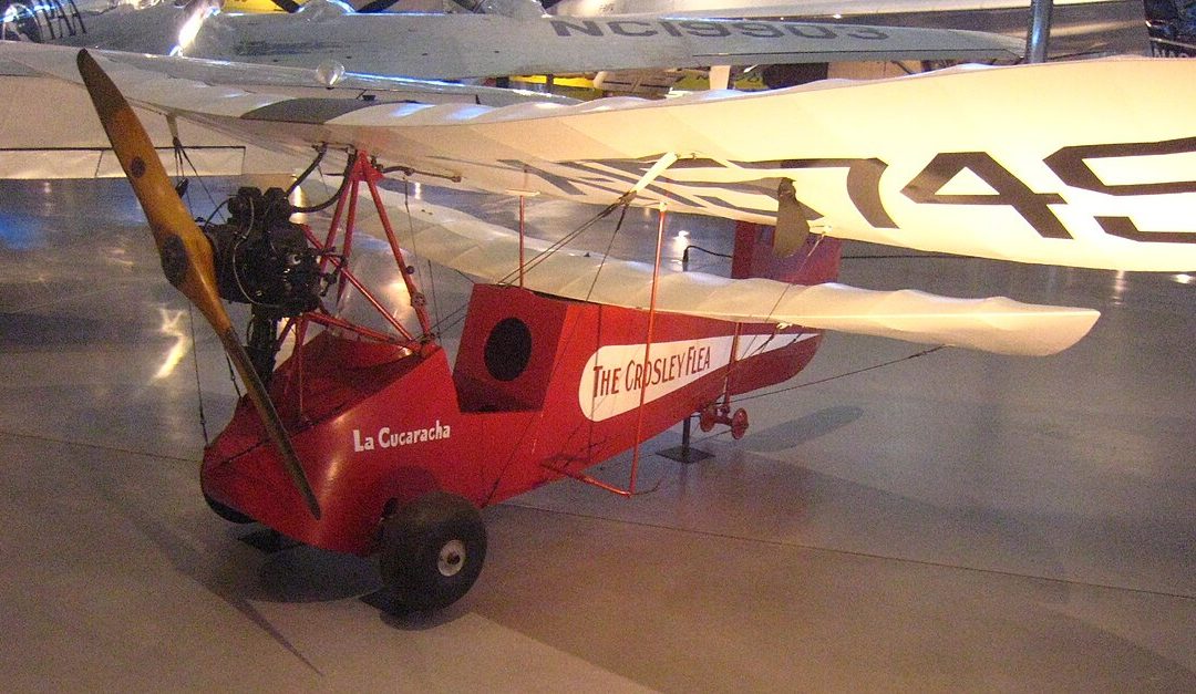 Flying Flea: Das selbstgebaute Flugzeug, das einen tödlichen Hype auslöste