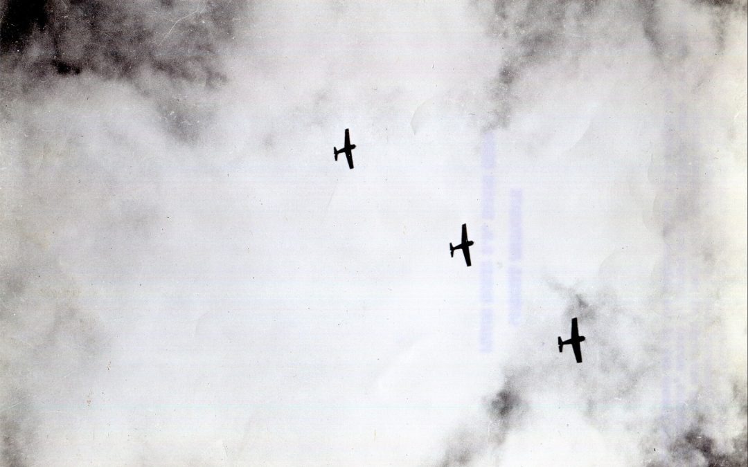 Die Kaktus-Luftwaffe: Fliegen aus dem Schlamm
