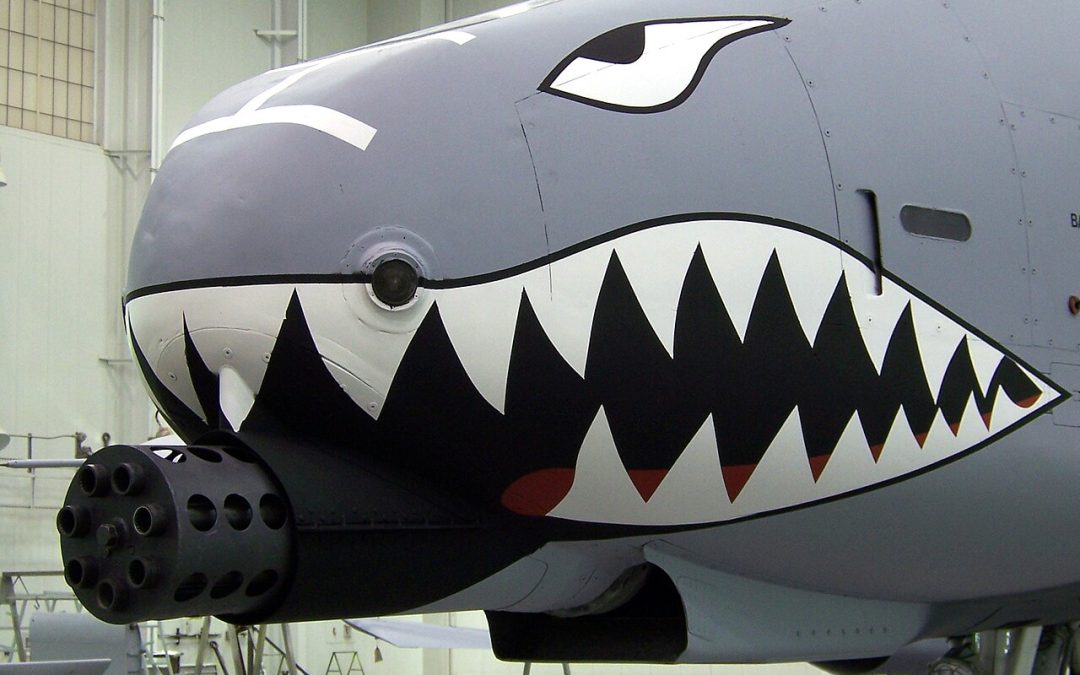 The GAU-8 Avenger: The Cannon They Built a Plane Around