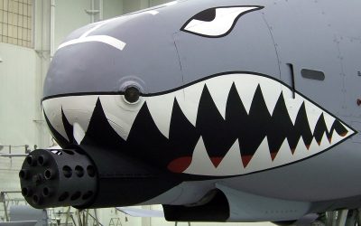 The GAU-8 Avenger: The Cannon They Built a Plane Around