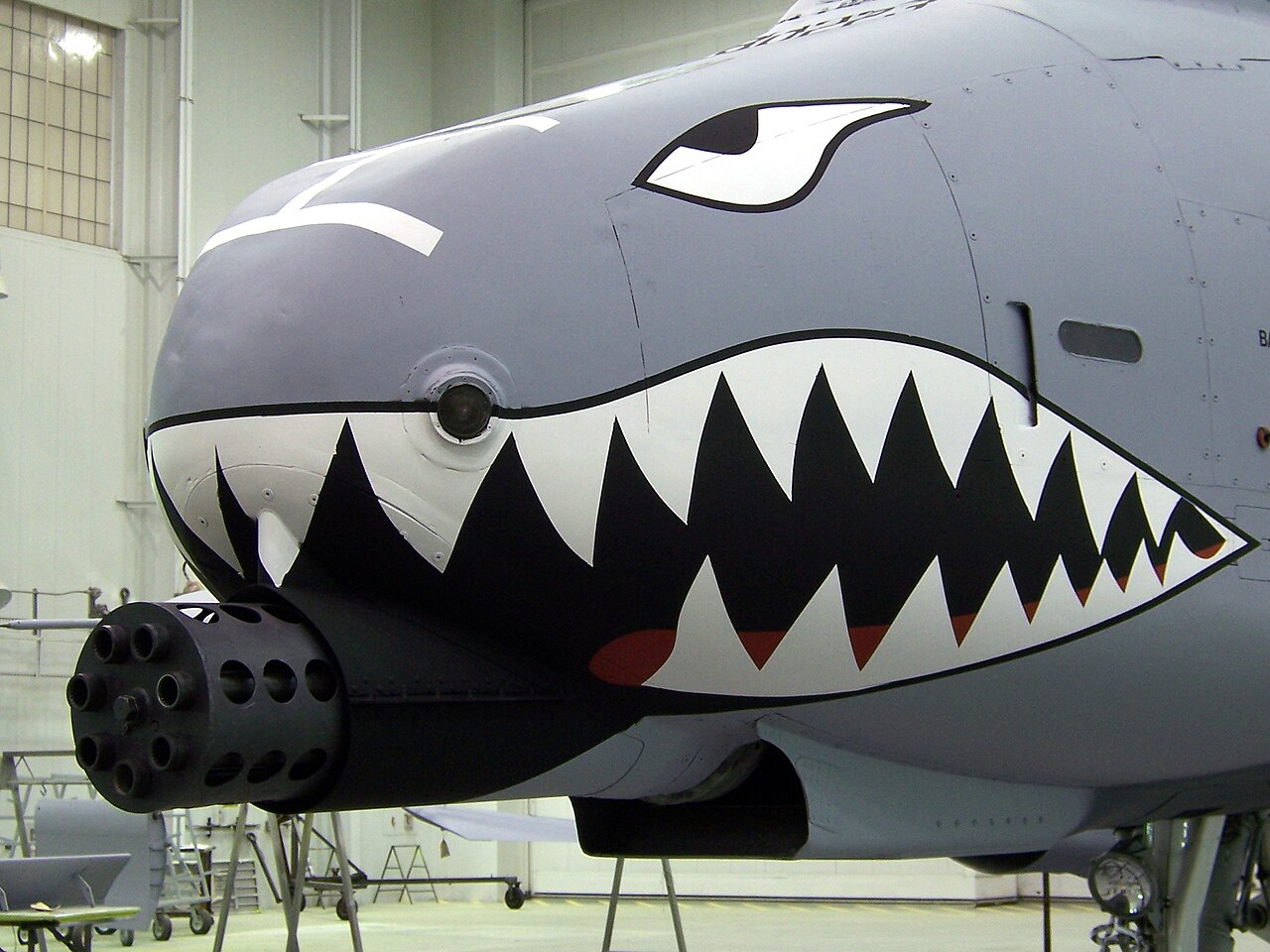 A-10 nose with the GAU-8 muzzle The nose of an A-10 Thunderbolt II showing the GAU-8 Avenger muzzle and shark mouth markings