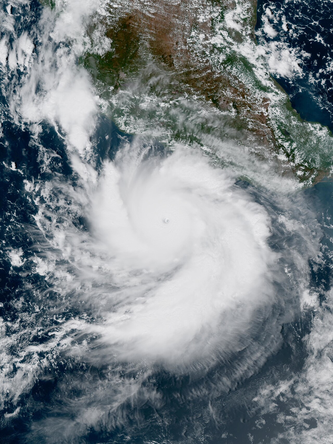 Satellite image of Hurricane Polo at peak intensity with a small clear eye off the Pacific coast of Mexico