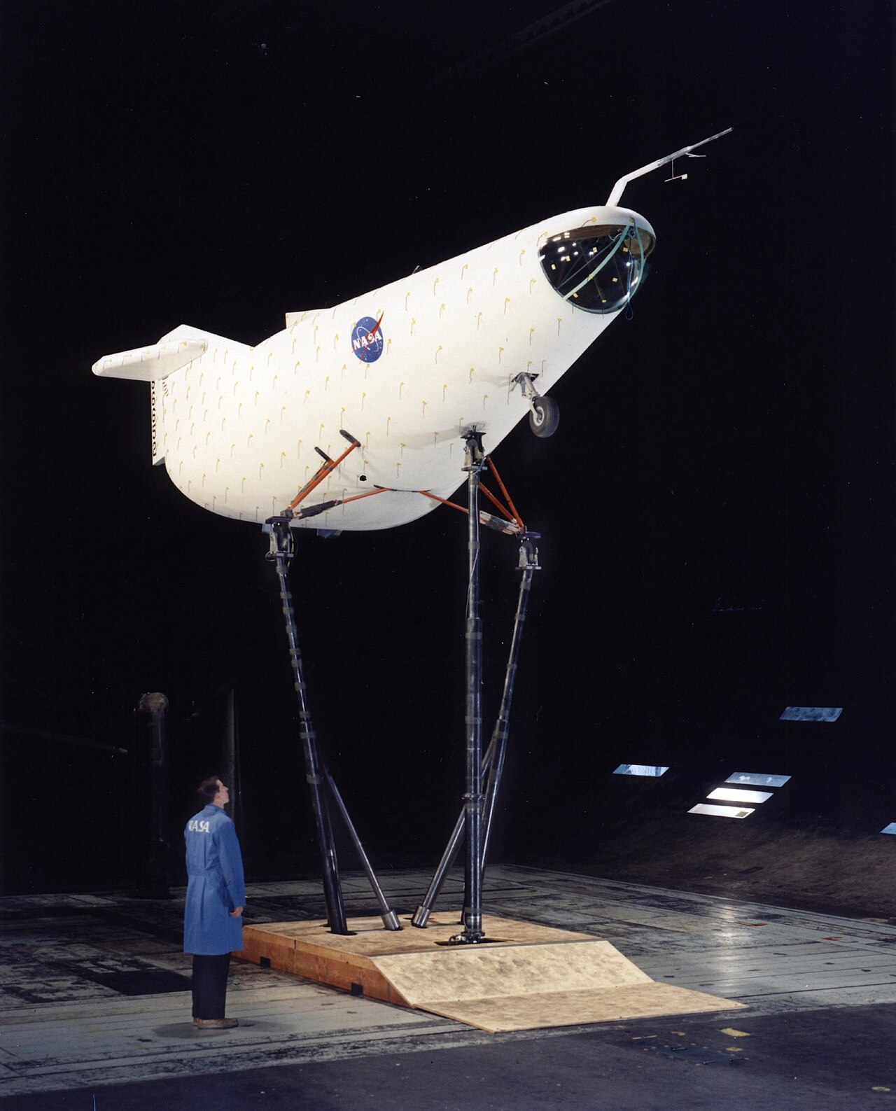 The white M2-F1 lifting body mounted on struts in the Ames 40- by 80-foot wind tunnel with a man in a NASA coat standing beside it