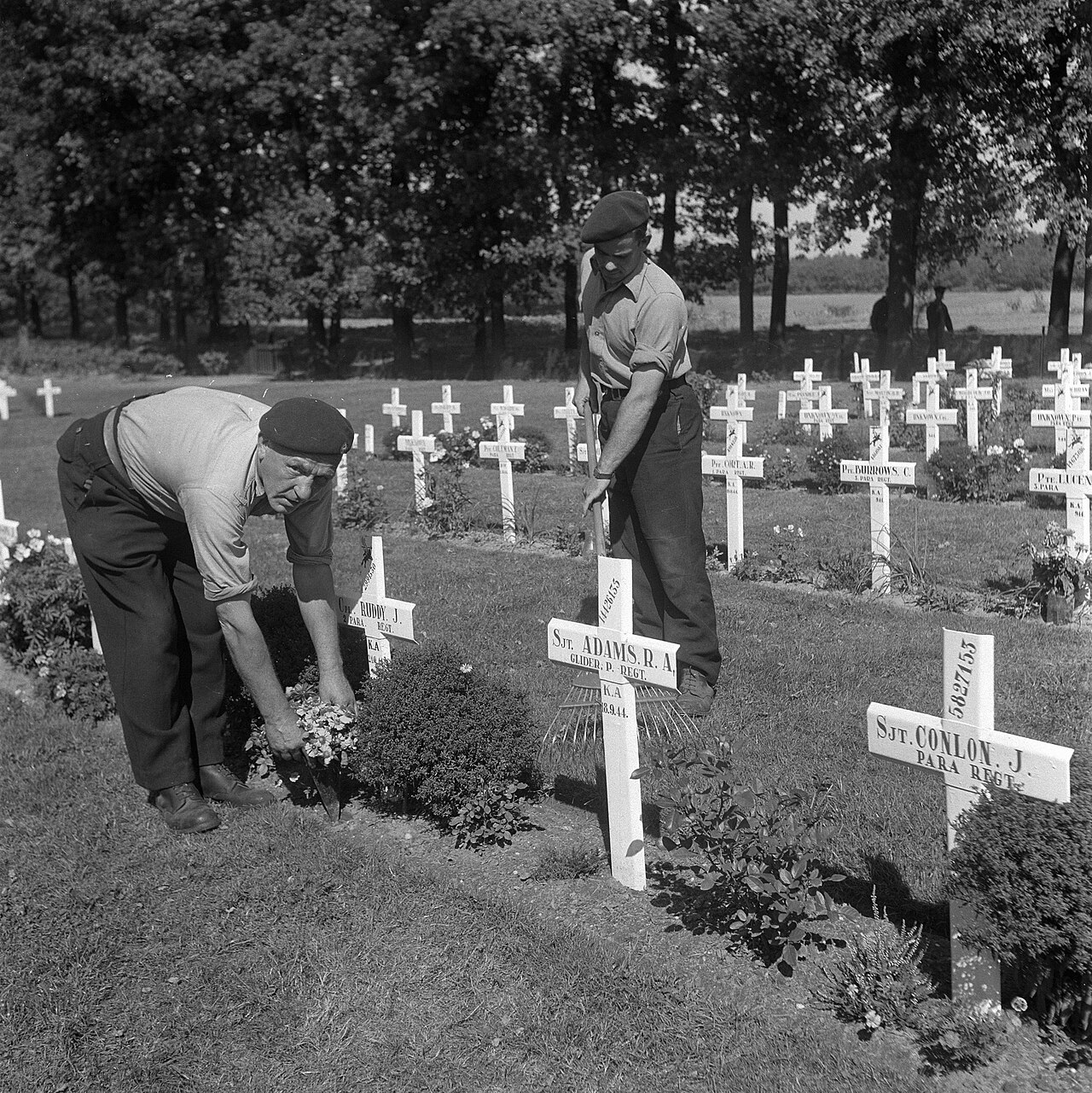 Men tending graves at the Oosterbeek Airborne War Cemetery in the years after the war