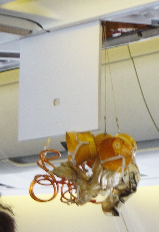Passenger oxygen masks hanging from an overhead panel after an accidental deployment on an airliner