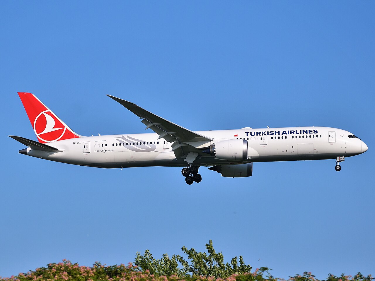 A Turkish Airlines Boeing 787-9 Dreamliner on approach