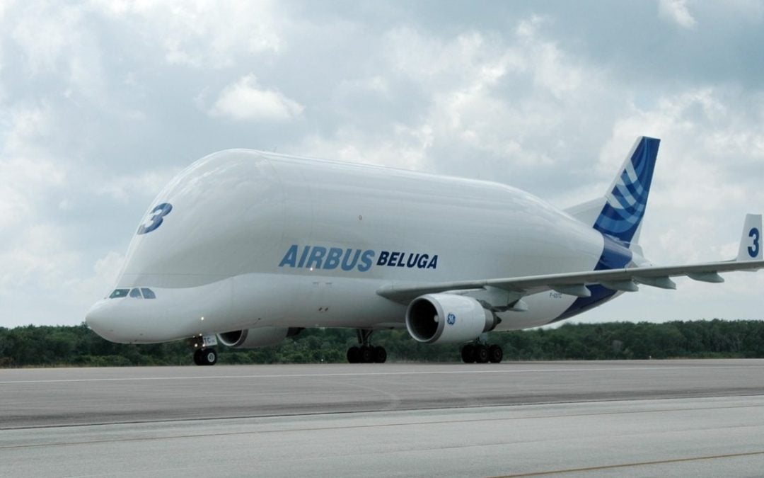 Airbus Beluga and BelugaXL: Why Airbus Flies Its Wings in a Whale