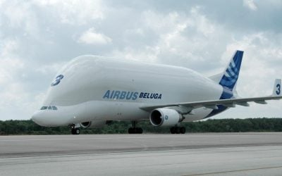 Airbus Beluga and BelugaXL: Why Airbus Flies Its Wings in a Whale