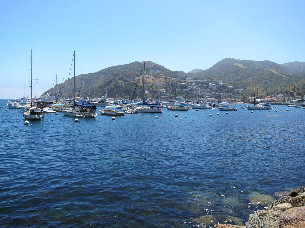 Avalon Bay on Santa Catalina Island with moored boats and the town on the hillside