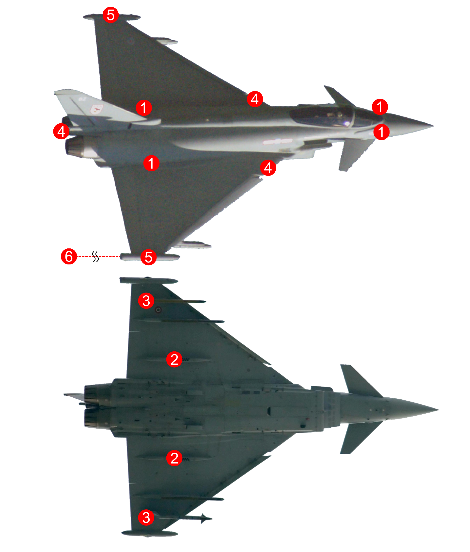 Labelled planform diagram of the Eurofighter Typhoon showing the locations of its Defensive Aids Sub System components