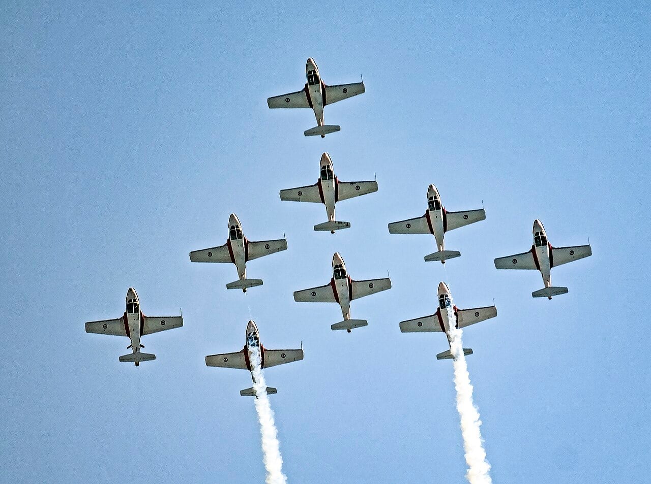 Nine Snowbirds Tutors in formation