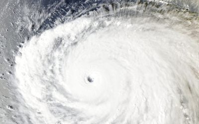 Typhoon Champi Grounds Taiwan: Nearly 1,000 Flights Cancelled