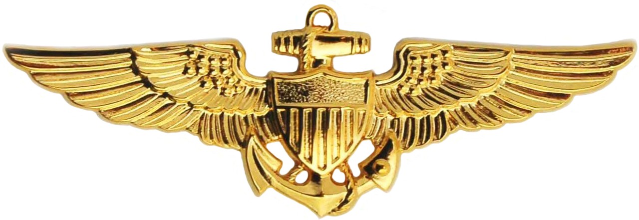 US Naval Aviator insignia, the Wings of Gold, with fouled anchor and shield