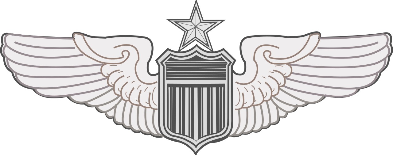 US Air Force Senior Pilot badge with star above the shield
