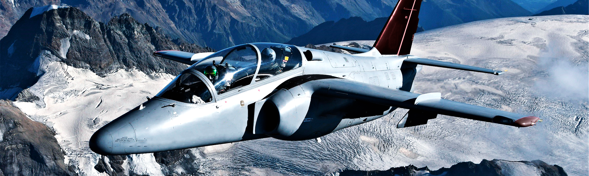 L-39 Albatros fliegen