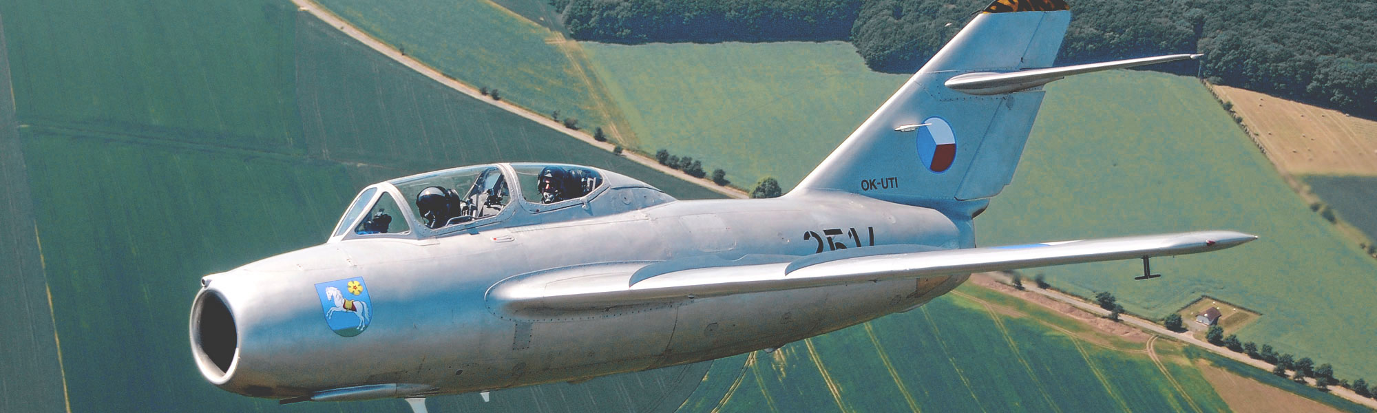 MiG-15 Fagot - Jet Warbird Legende