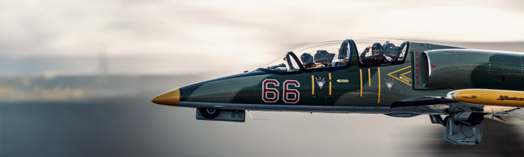 L-39 Albatros fliegen