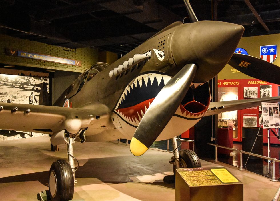A restored P-40N Warhawk in modern warbird colours  a few dozen still fly.