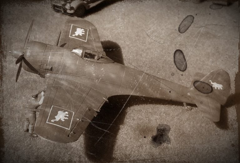A Ki-43 in Royal Thai Air Force markings  one of Japans wartime partners.