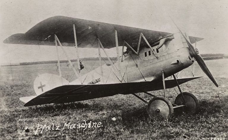 Pfalz D.XII