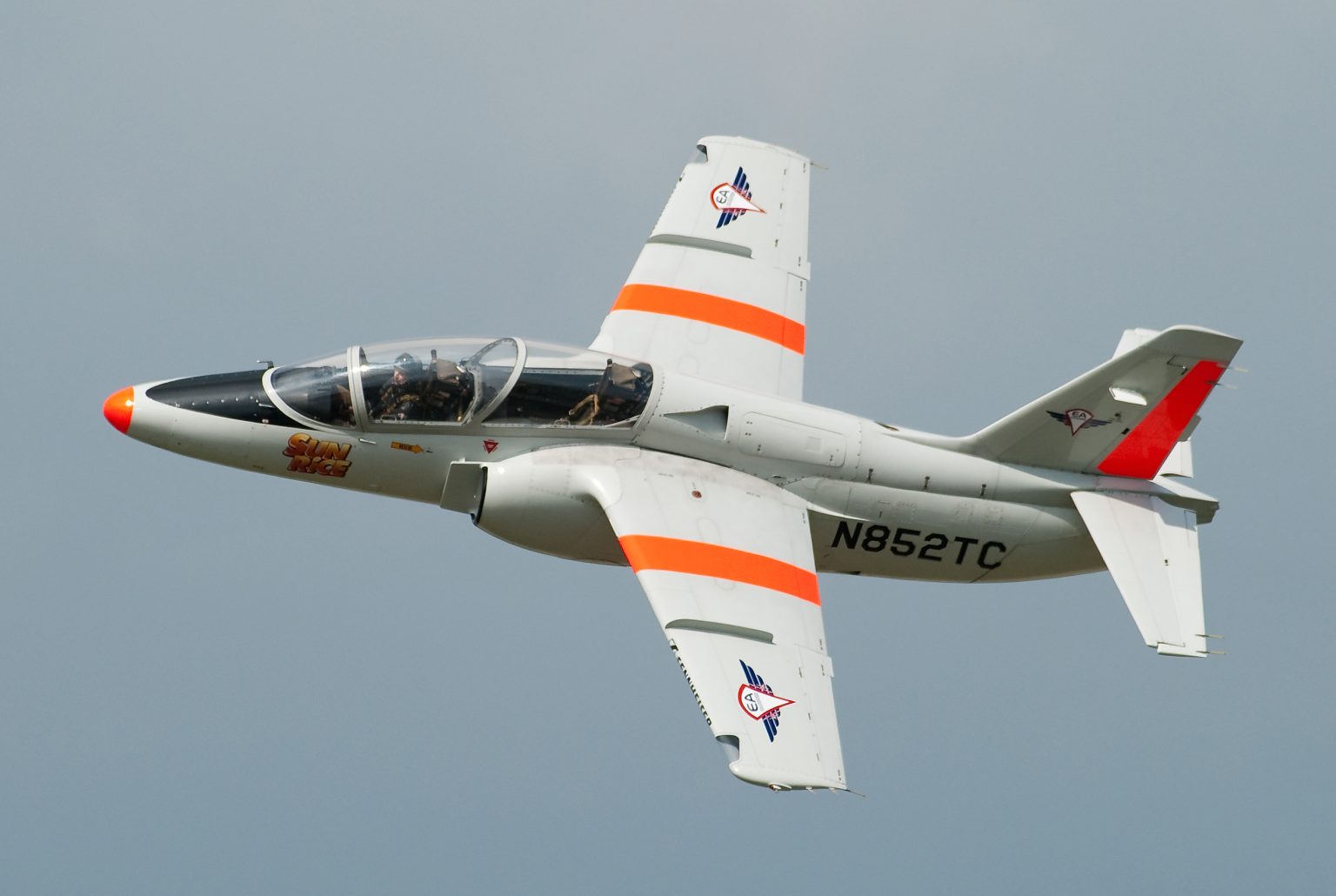SIAI-Marchetti S.211 civilian warbird in flight