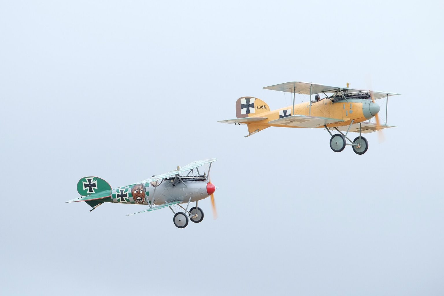 Albatros D.II reproduction in flight