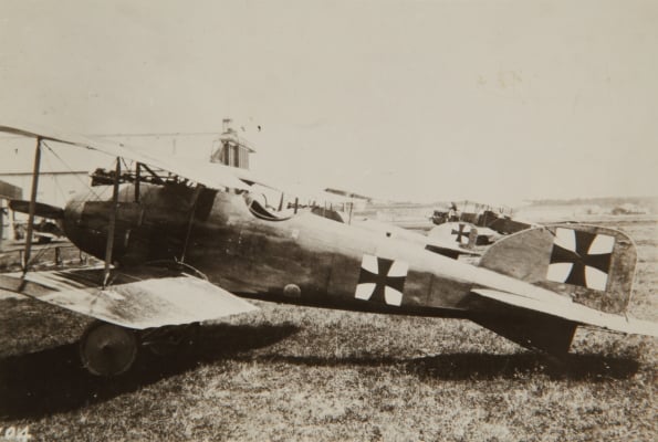 Albatros D