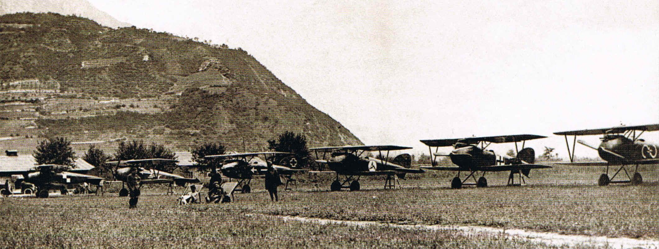 Oeffag-built Albatros D.III of the Austro-Hungarian Flik 3/J