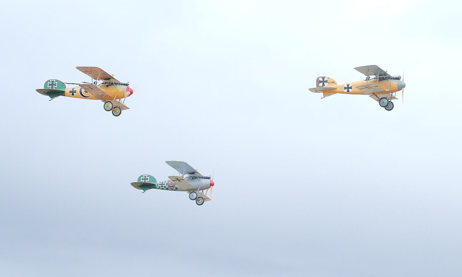 Albatros reproductions in formation
