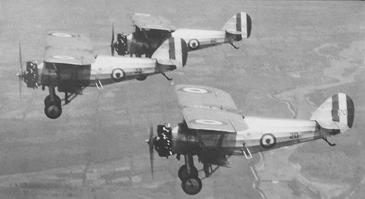 RCAF Siskin aerobatic team