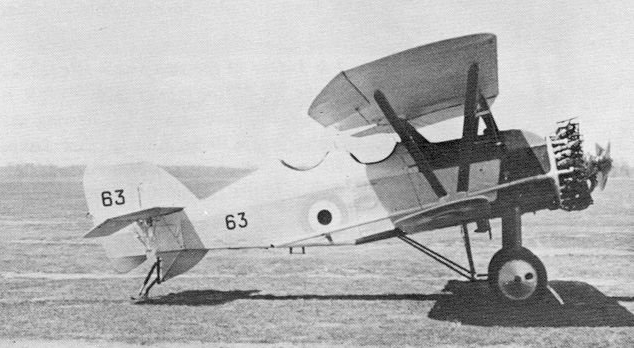 Two-seat Siskin trainer