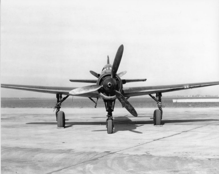 Head-on view of a Dornier Do 335 fighter
