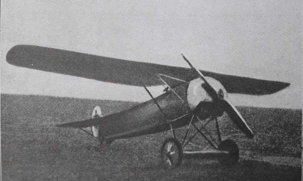 An E.V / D.VIII in German service in 1918, showing the clean parasol wing that gave the fi