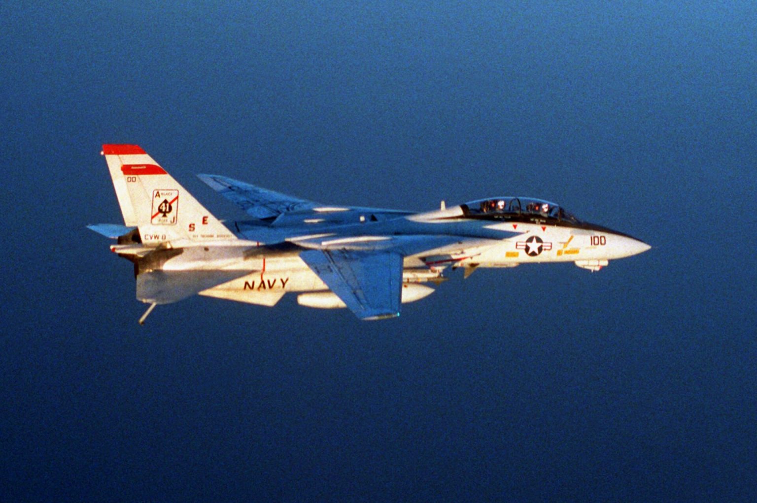 Grumman F-14 Tomcat swing-wing fighter of the US Navy in flight