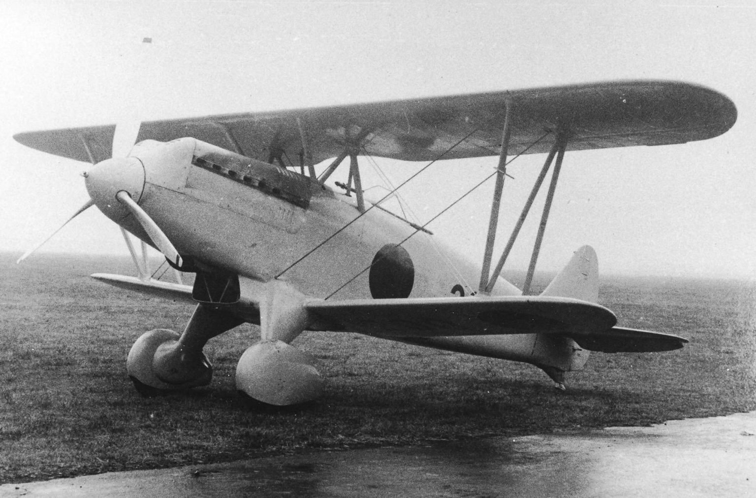Kawasaki Ki-10 Army Type 95 fighter