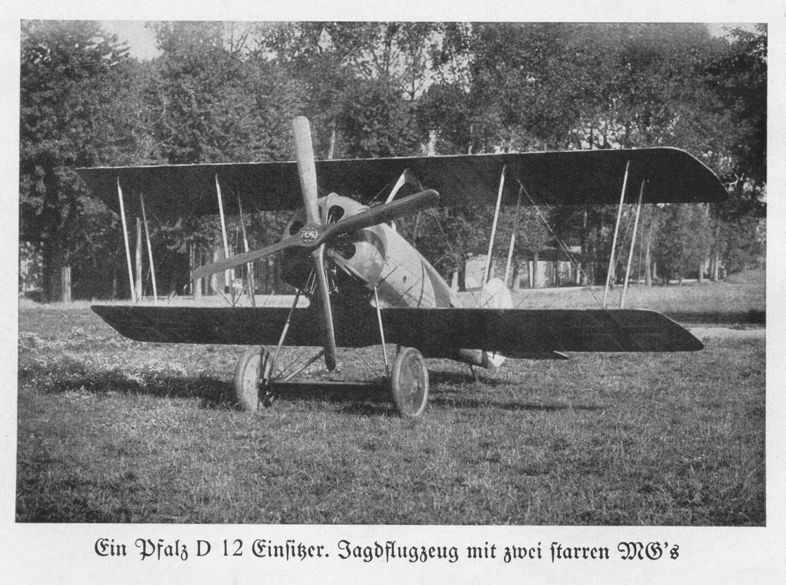 Pfalz D.XII single-seat fighter, 1918